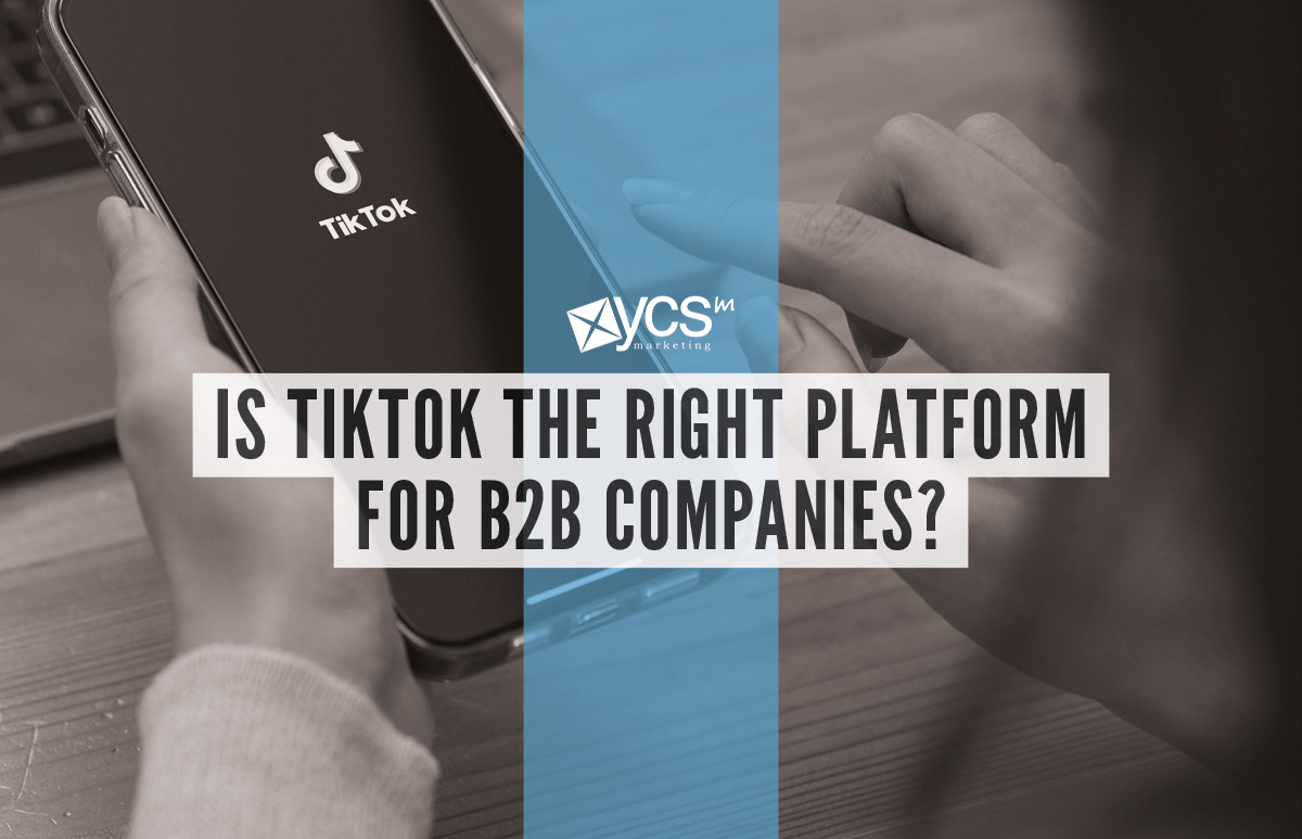 is tiktok the right platform for b2b companies