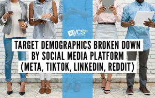 target demographics broken down by social media platform (META, TikTok, Instagram, Reddit)