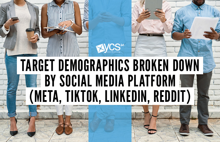 target demographics broken down by social media platform (META, TikTok, Instagram, Reddit)