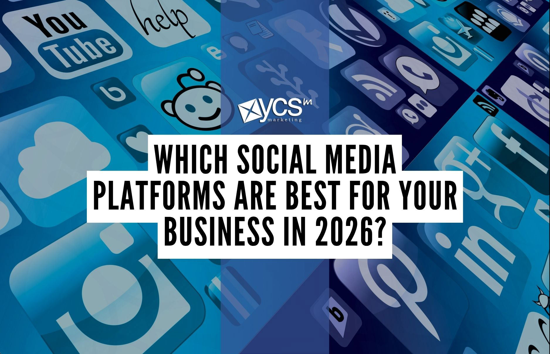 Which Social Media Platforms Are Best For Your Business in 2026?